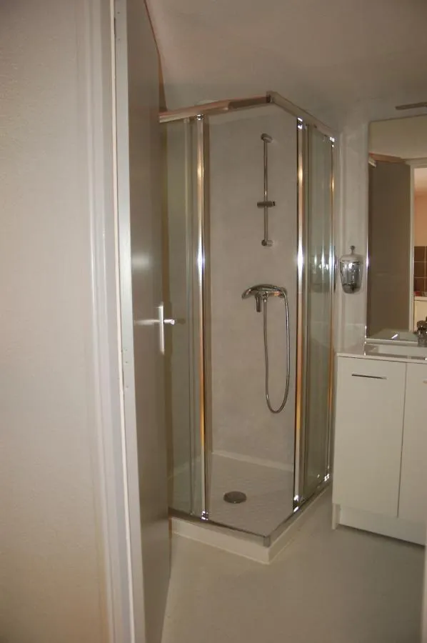 Aparthotel Gite Du Haut Cantal - Appartements Meubles Avec Kitchenette Et Chambres Sans Kitchenette Condat  France